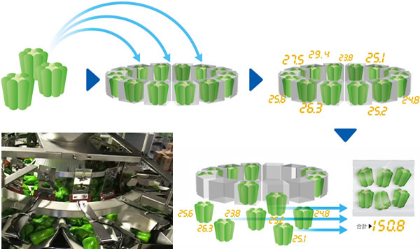 コンピュータスケール/組合せ計量方式